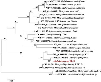 Metagenomic Evidence for a Methylocystis Species Capable of Bioremediation of Diverse Heavy Metals